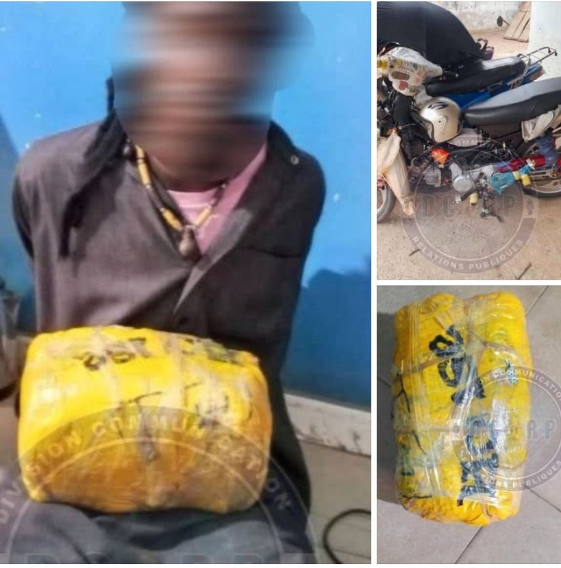 Sédhiou : un conducteur de moto arrêté avec deux kilos de chanvre indien dissimulés dans un sac Sédhiou : un conducteur de moto arrêté avec deux kilos de chanvre indien dissimulés dans un sac