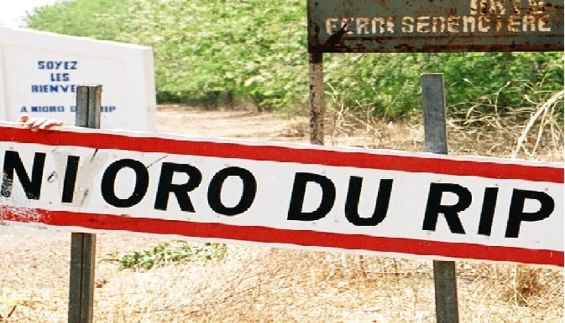 Nioro-du-Rip : le cri d'alarme face à l'agonie des forêts et la menace climatique Nioro-du-Rip : le cri d'alarme face à l'agonie des forêts et la menace climatique