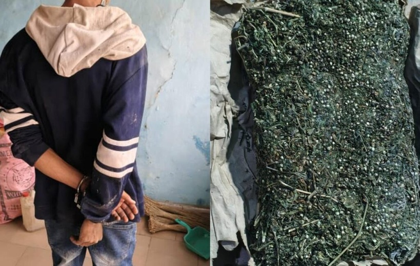 Sédhiou : Un étudiant de l’UGB arrêté en possession de 3 kg de chanvre indien Sédhiou : Un étudiant de l’UGB arrêté en possession de 3 kg de chanvre indien