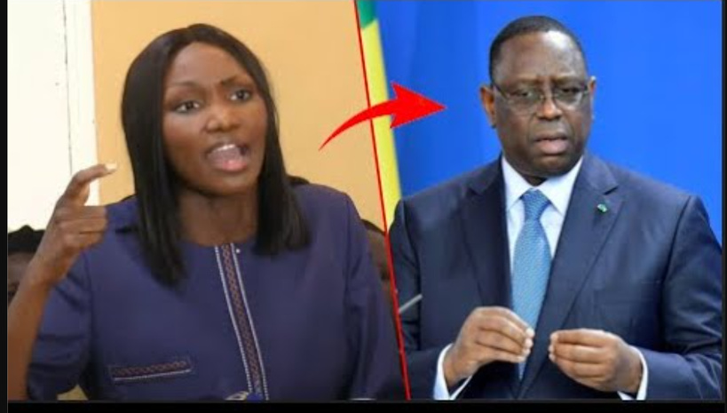 ONU : Anta Babacar Ngom prône l'union sacrée derrière Macky Sall