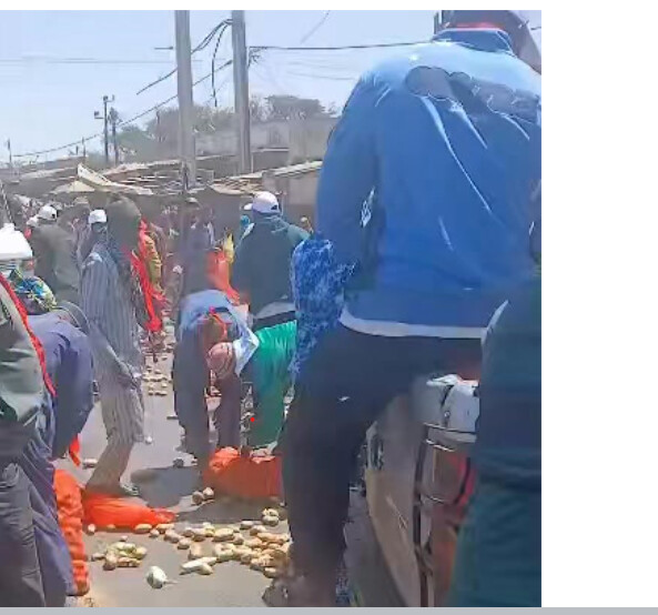 Révolte des maraîchers dans les Niayes : les agriculteurs déversent leurs récoltes sur la route