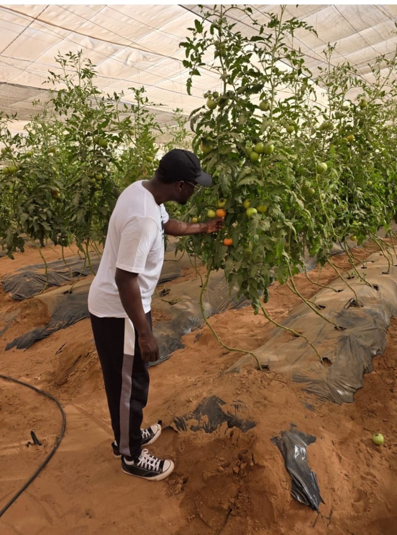 Agriculture et message politique : la publication d’Ousmane Sonko en pleine séquence politique Agriculture et message politique : la publication d’Ousmane Sonko en pleine séquence politique