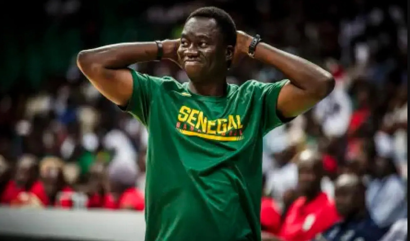 Mondial Féminin 2026 : Cheikh Sarr « très heureux » de la métamorphose tactique des Lionnes