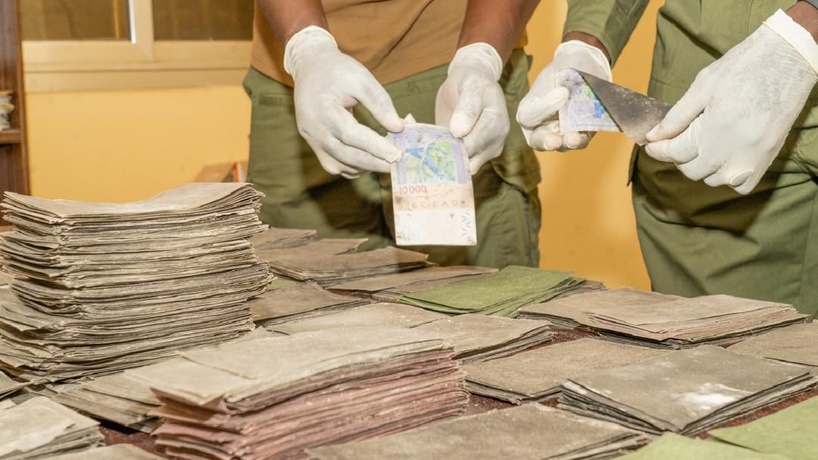 Opération « Coup de poing » : saisie de billets noirs d’une contrevaleur d’un milliard de FCFA à Kaolack