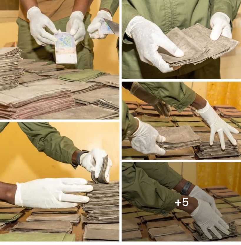 Kaolack : plus d’un milliard de FCFA de faux billet saisis, trois individus arrêtés Kaolack : plus d’un milliard de FCFA de faux billet saisis, trois individus arrêtés