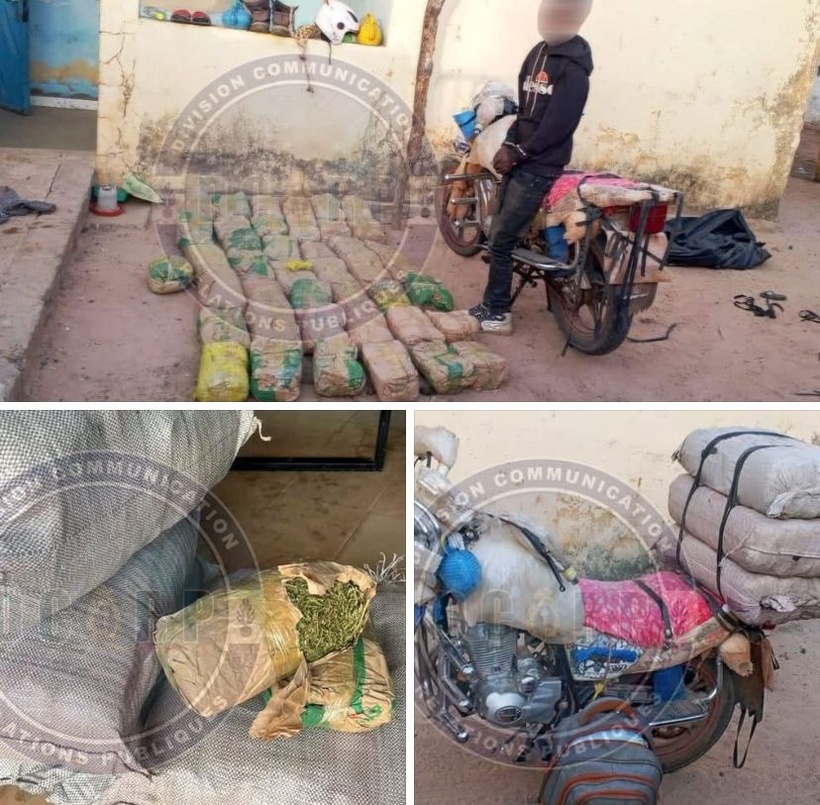 ​Sédhiou : un individu arrêté avec 43 kg de chanvre indien