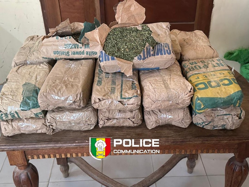 Saly : un contrôle de routine pour port de casque vire à une saisie de 23 kg de chanvre indien