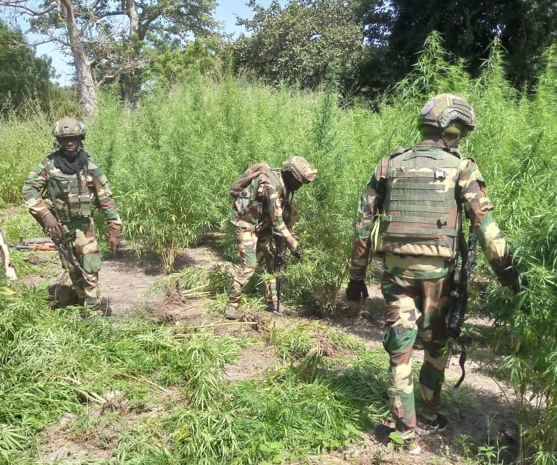 Mort de militaires en Casamance:  les femmes de la région déplorent la fragilisation persistante de la situation sécuritaire