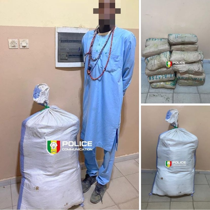 Kaolack : un conducteur de moto « Jakarta » arrêté avec 25 kg de chanvre indien