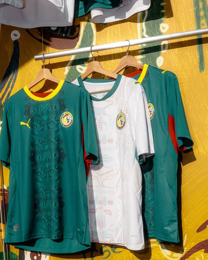 Maillots des « Lions » avec une seule étoile : la FSF s’explique et annonce une nouvelle version