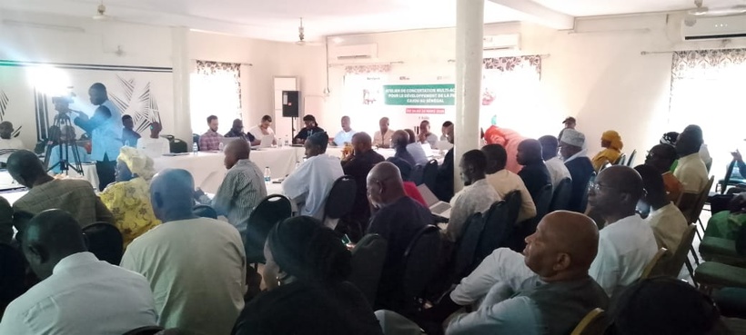 Filière anacarde : les acteurs en conclave à Kolda pour booster la transformation locale Filière anacarde : les acteurs en conclave à Kolda pour booster la transformation locale