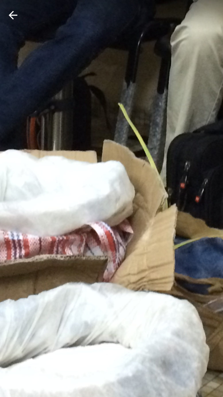 3 passagers en provenance de la Chine: la Douane saisit 33, 58 kg d’amphétamines, 212 kg de chanvre indien et 804 bonbonnes de gaz