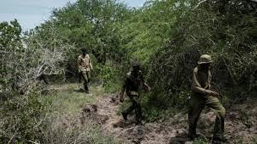 Kenya: l'enquête se développe après la découverte d'une mystérieuse fosse commune Kenya: l'enquête se développe après la découverte d'une mystérieuse fosse commune