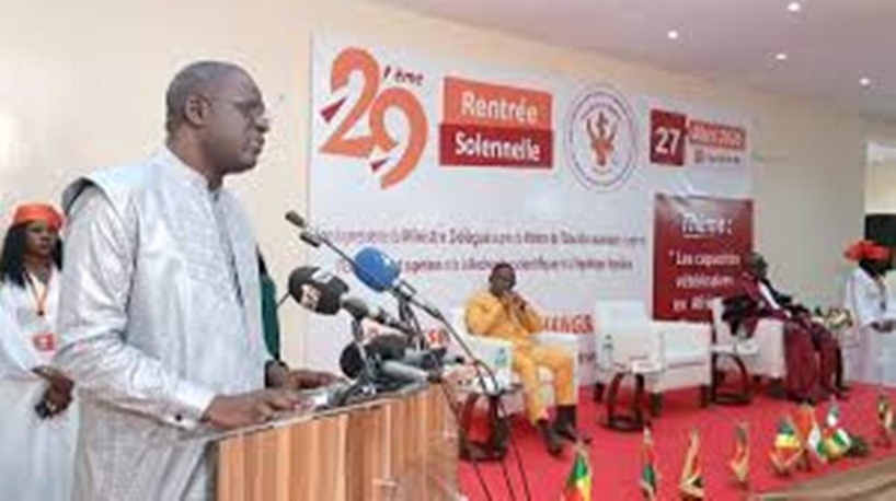 ​Santé animale en Afrique : le manque de vétérinaires inquiète