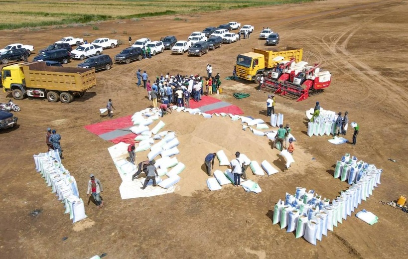 Rosse-Béthio: les producteurs de riz local exhortent l'Etat «à prendre des mesures urgentes pour sauver la filière» Rosse-Béthio: les producteurs de riz local exhortent l'Etat «à prendre des mesures urgentes pour sauver la filière»