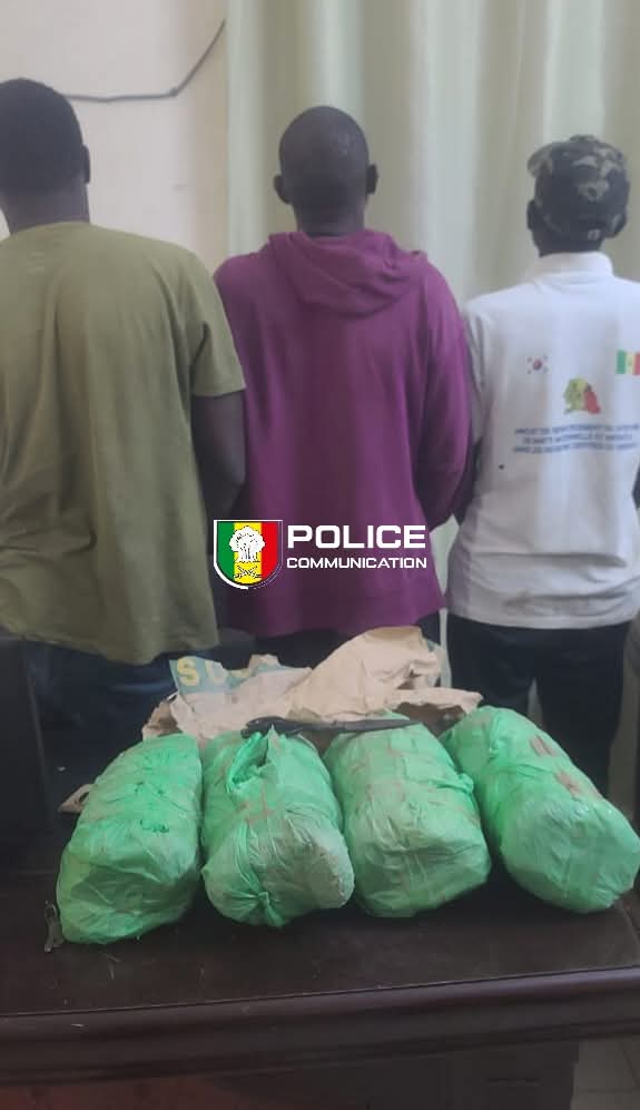 Lutte contre la drogue : la BRS de Fatick saisit 4 kg de chanvre indien et interpelle trois individus 