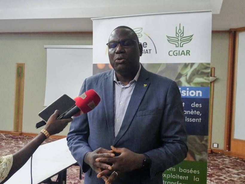 Sénégal : des plateformes innovantes pour renforcer la résilience des systèmes agroalimentaires Sénégal : des plateformes innovantes pour renforcer la résilience des systèmes agroalimentaires