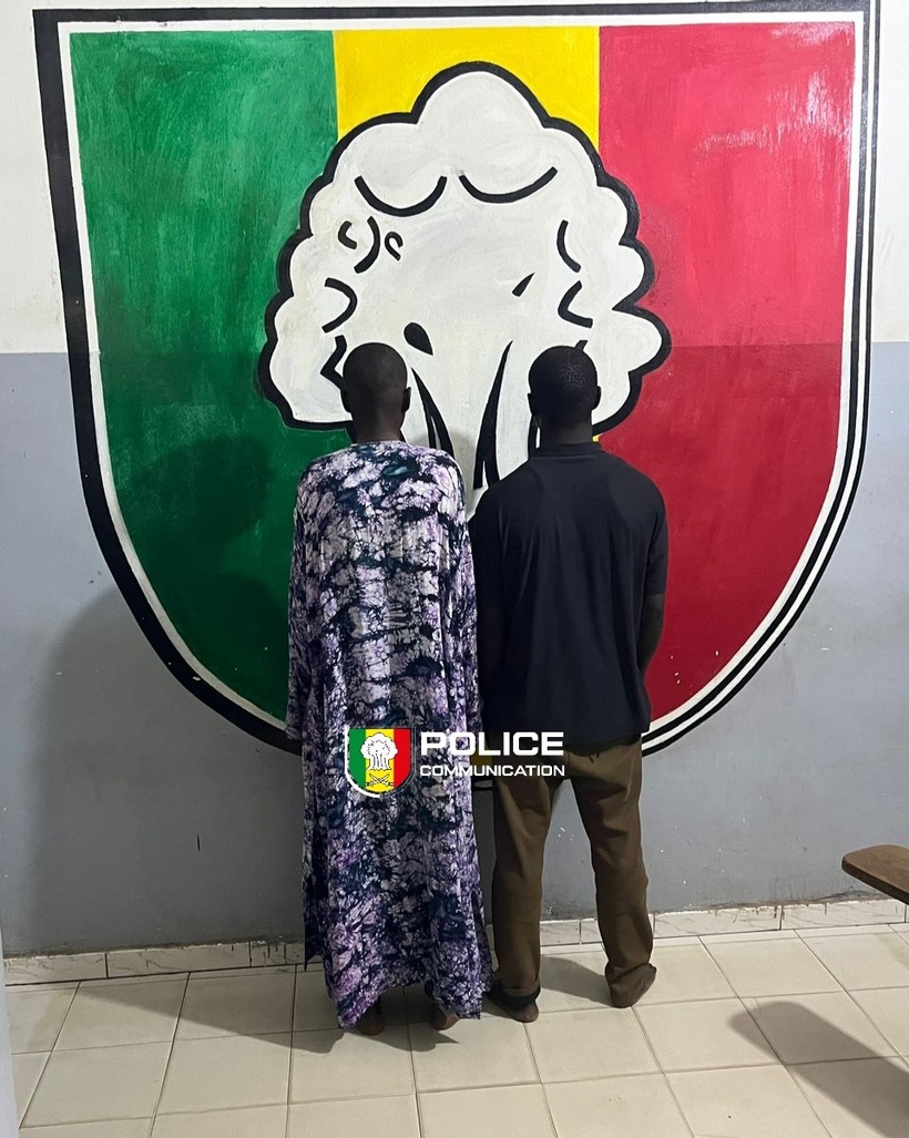 Kaolack : trois individus arrêtés pour "association de malfaiteurs et vol de bétails" Kaolack : trois individus arrêtés pour "association de malfaiteurs et vol de bétails"