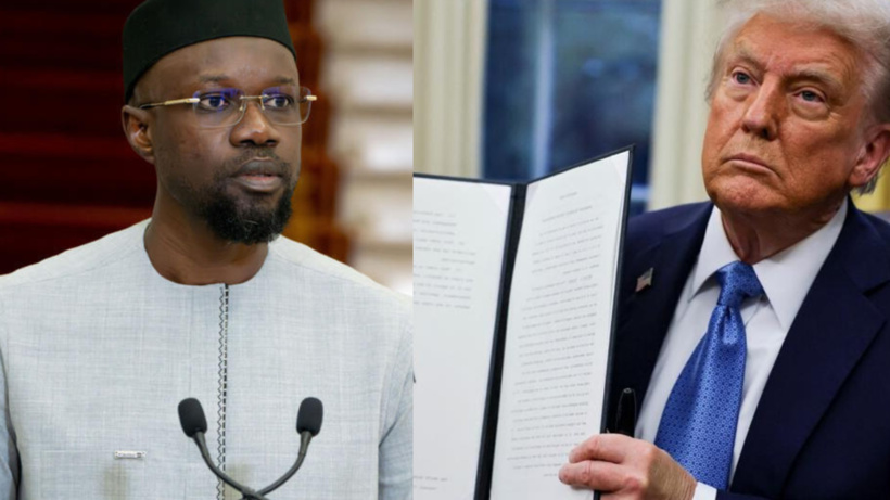 Ousmane Sonko : «Trump n'est pas un homme de paix, c'est un homme de déstabilisation du monde »