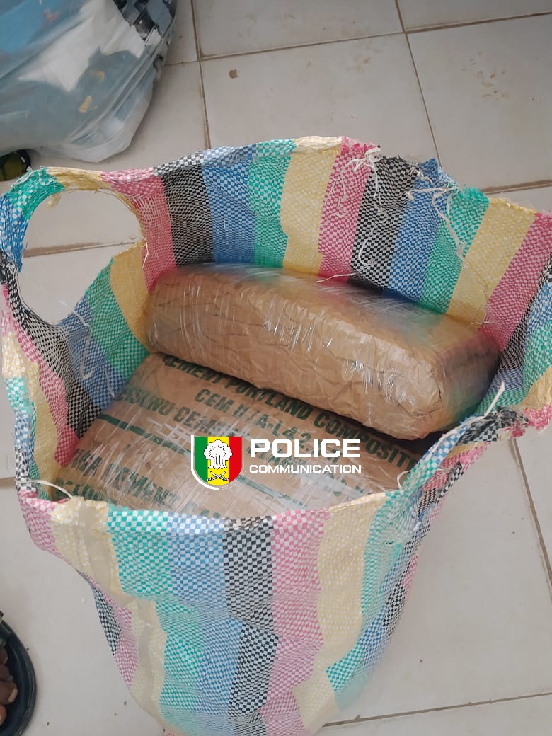 Rufisque-Est : une femme interpellée en possession de 11 kilogrammes de chanvre indien