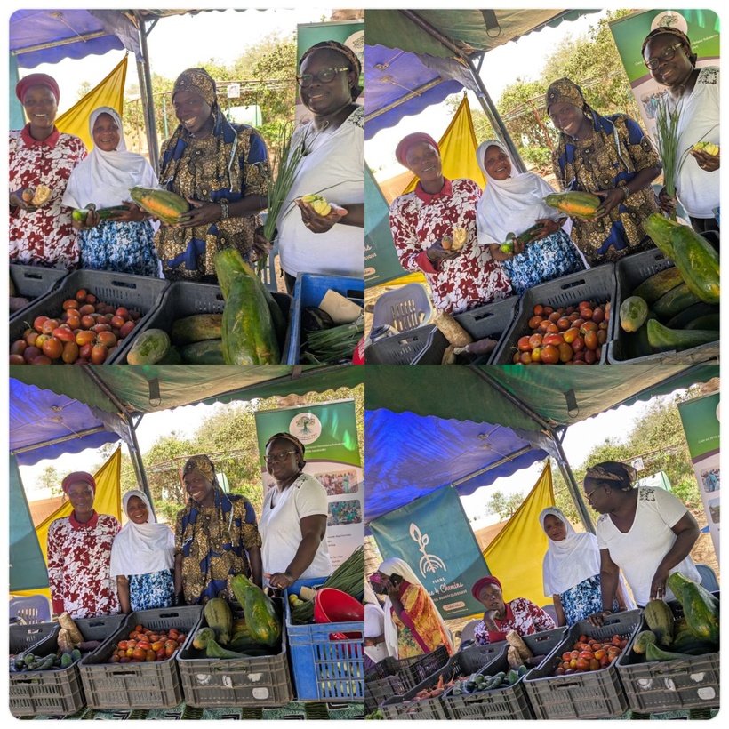 « Jigéenu Tey »: un projet qui accompagne les femmes du village de Kelle pour leur autonomisation financière « Jigéenu Tey »: un projet qui accompagne les femmes du village de Kelle pour leur autonomisation financière