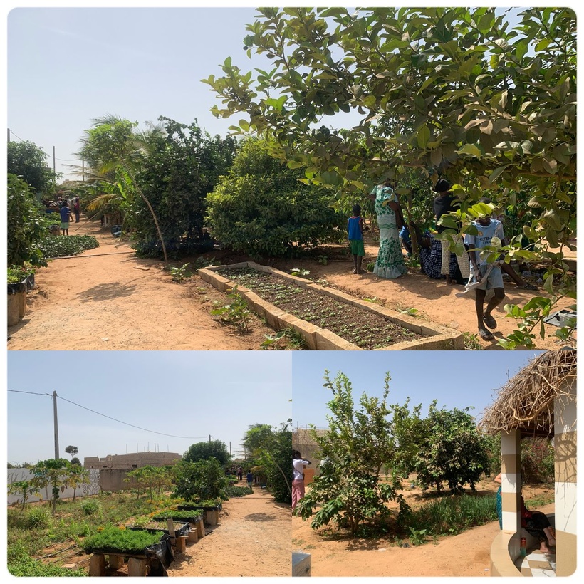 « Jigéenu Tey »: un projet qui accompagne les femmes du village de Kelle pour leur autonomisation financière « Jigéenu Tey »: un projet qui accompagne les femmes du village de Kelle pour leur autonomisation financière