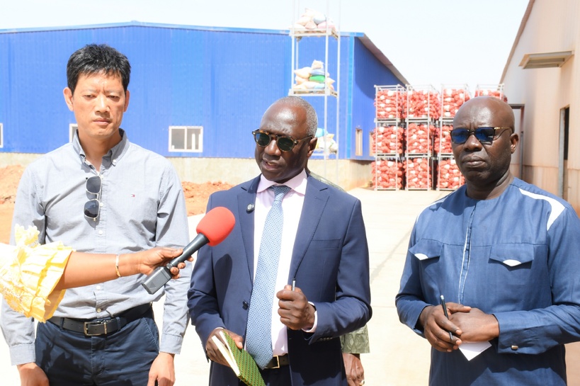 Pertes post-récolte Mabouba Diagne appelle le privé à investir 130 milliards fcfa dans le stockage frigorifique