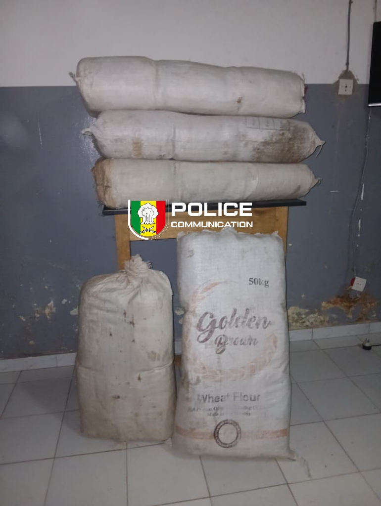 Lutte contre le trafic de drogue : L’OCRTIS démantèle plusieurs réseaux et réalise d’importantes saisies à travers le pays