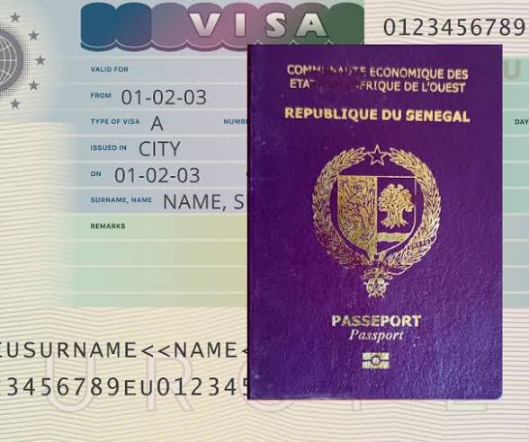 Escroquerie au visa : L'État lance l'offensive contre le site pirate « Senevisa.com« 