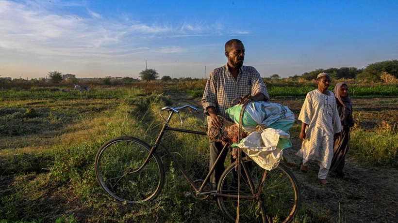 Soudan: les habitants de l'île de Tuti, déplacés par la guerre, retournent chez eux