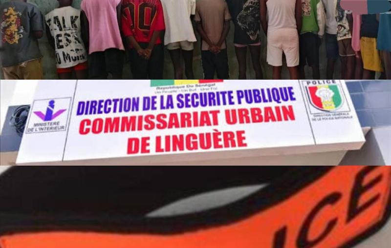 Scandale homosexuel à Linguère : 22 suspects dont Baye Tama déférés ce mercredi au parquet de Louga