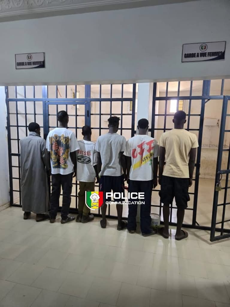 Nioro du Rip : la Police démantèle un réseau de six malfaiteurs présumés, spécialisés dans le vol de cyclomoteurs