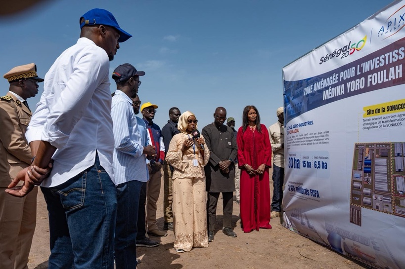 Électrification rurale : le Président Bassirou Diomaye Faye illumine 53 villages du Fouladou Électrification rurale : le Président Bassirou Diomaye Faye illumine 53 villages du Fouladou