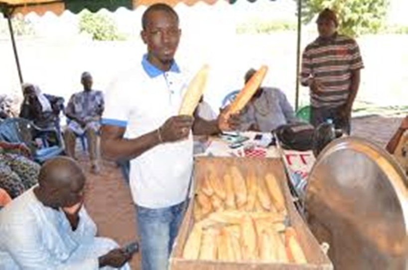 Souveraineté alimentaire : La nouvelle génération de boulangers mise sur les céréales locales Souveraineté alimentaire : La nouvelle génération de boulangers mise sur les céréales locales