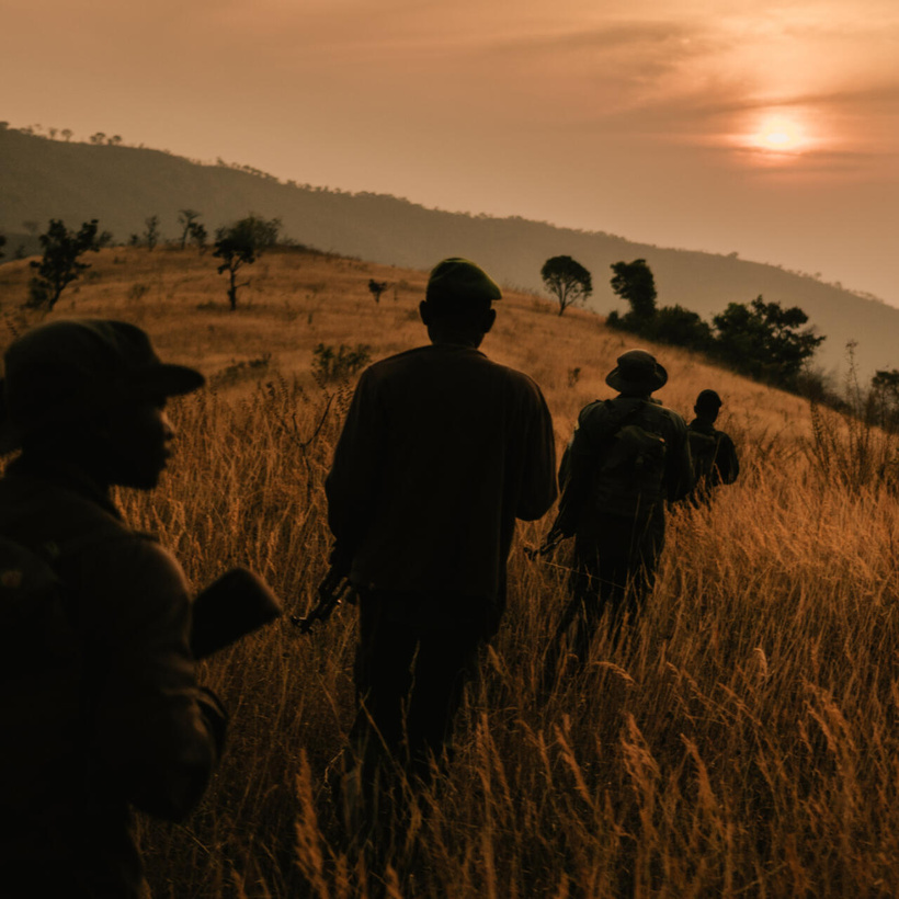 Du cauchemar à la reconstruction: en RDC, un soutien psychologique assuré après l'attaque du parc Upemba Du cauchemar à la reconstruction: en RDC, un soutien psychologique assuré après l'attaque du parc Upemba