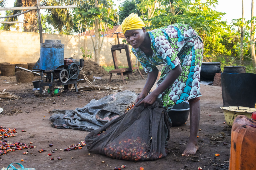 Dialambéré : suspension d’une délibération foncière sur fond de tensions autour du projet de palmier à huile Dialambéré : suspension d’une délibération foncière sur fond de tensions autour du projet de palmier à huile