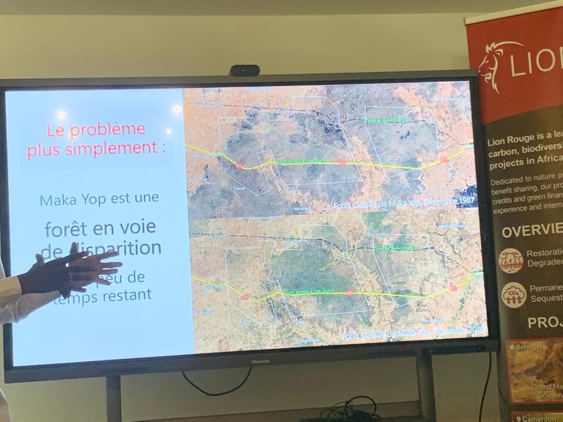  Projet "Grand Maka Yop Big 5 Safari" : Lion Rouge engage 120 millions de dollars pour restaurer le « Big Five » au Sénégal
