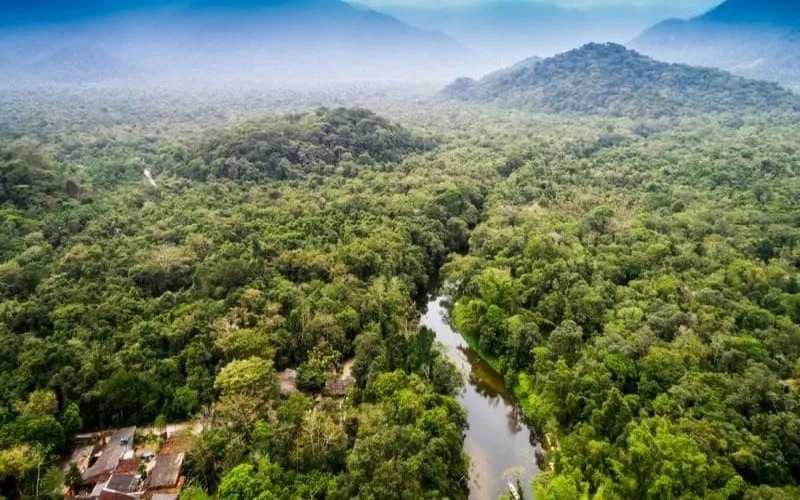 ​Projet PICVERT : Trois pays s'allient pour sauver un écosystème couvrant 30 000 km²