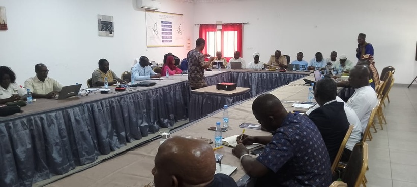 Lutte contre l'excision : le Sénégal, la Gambie et la Guinée-Bissau mutualisent leurs efforts contre les mutilations génitales féminines