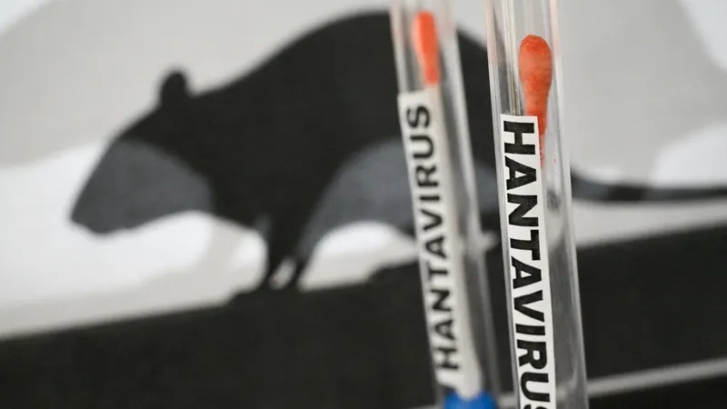 Hantavirus : le ministère de la Santé rassure qu'aucun cas n'a été enregistré au Sénégal