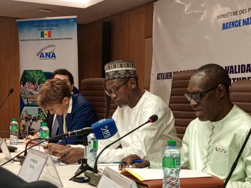 ​Aquaculture : le Sénégal vise 20 000 tonnes de production d’ici 2030