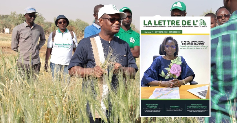 Souveraineté alimentaire : L’Intersyndicale de l’ISRA et de l’ITA alerte sur une crise budgétaire et structurelle « sans précédent » Souveraineté alimentaire : L’Intersyndicale de l’ISRA et de l’ITA alerte sur une crise budgétaire et structurelle « sans précédent »