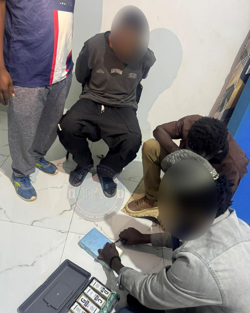 Trafic international de cocaïne : trois individus arrêtés, plus d'un kilo saisi par la gendarmerie