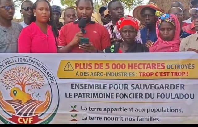 Vélingara : le Comité de veille foncière du Fouladou s'oppose à l'attribution de terres à un projet agro-industriel