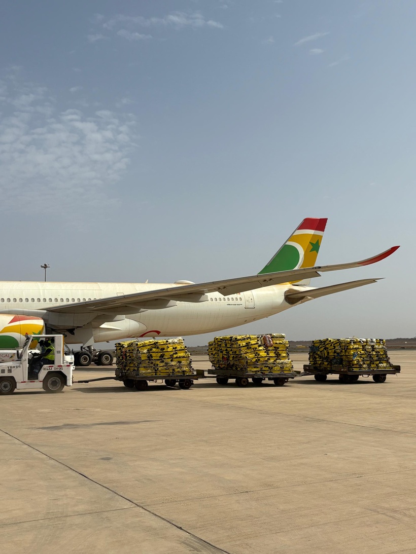 Hajj 2026 : les pèlerins saluent l’organisation et les innovations d’Air Sénégal Hajj 2026 : les pèlerins saluent l’organisation et les innovations d’Air Sénégal