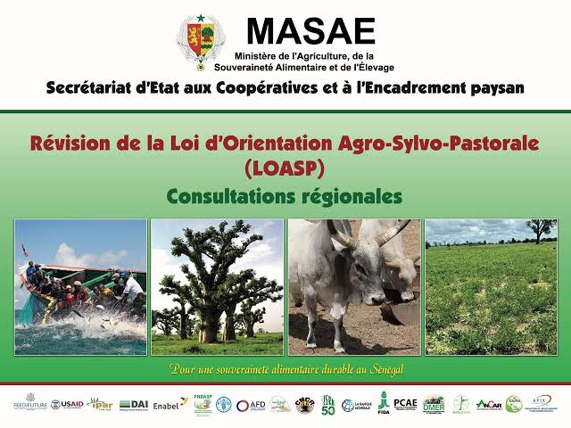 Souveraineté alimentaire : Le Conseil des Ministres adopte le projet de loi d’orientation agrosylvopastorale et halieutique