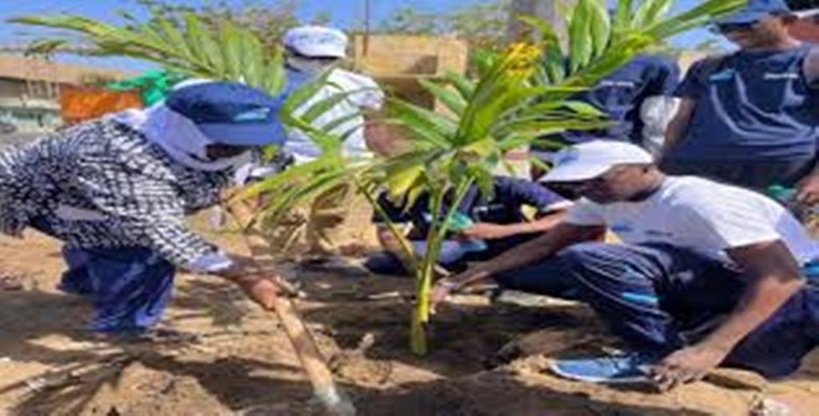 Journée mondiale de l’environnement : l’Alliance des écologistes du Sénégal appelle à une mobilisation accrue pour le climat