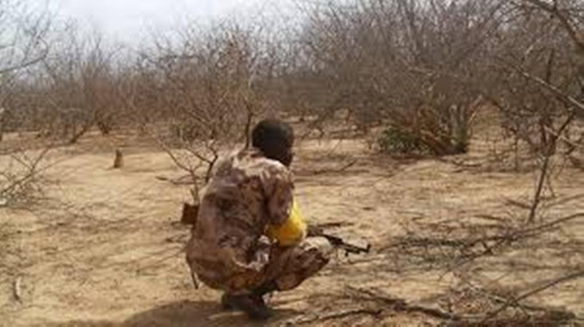 Mali: les autorités créent des «zones d’intérêt militaires» interdites aux civils dans près de 40 forêts Mali: les autorités créent des «zones d’intérêt militaires» interdites aux civils dans près de 40 forêts