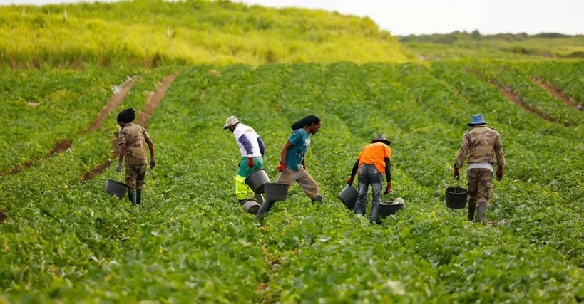 ​Coopération Sénégal-Espagne : 50 nouveaux travailleurs saisonniers recrutés
