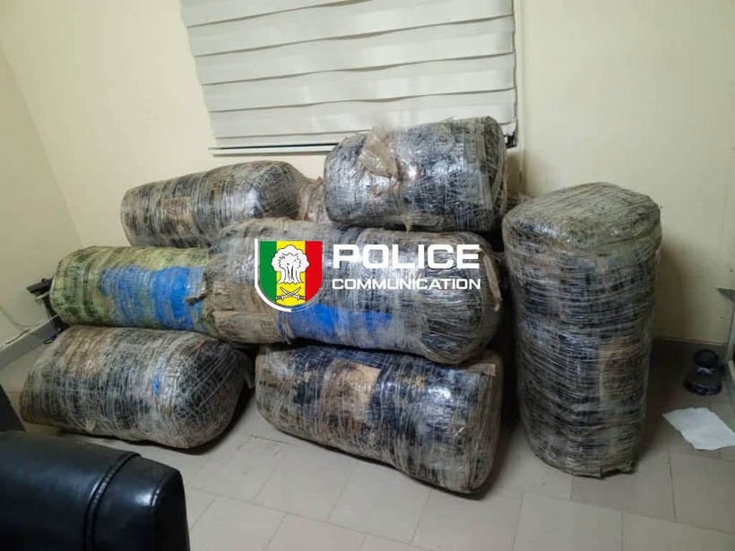 Guéréo : près de 245 kg de chanvre indien saisis par la Police